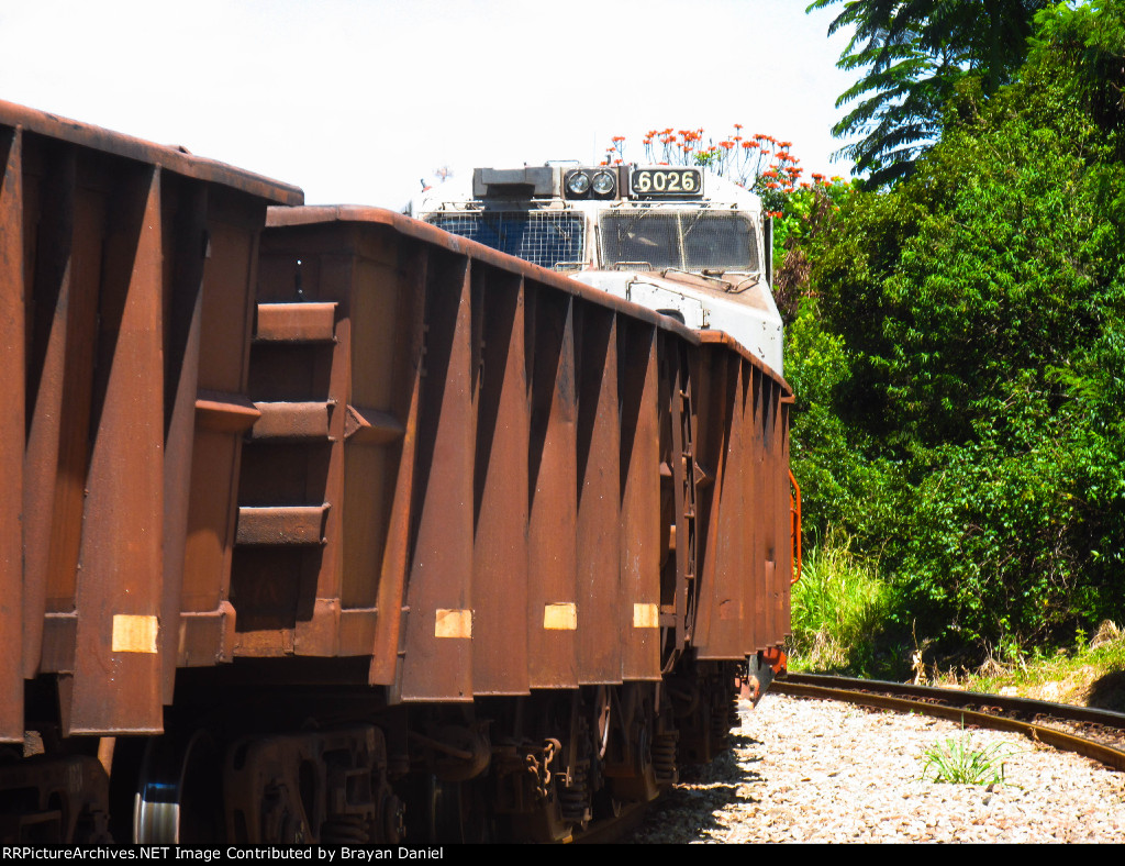 VLI 6026